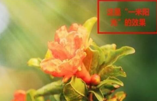 2345看图王制作特效图片的操作教程