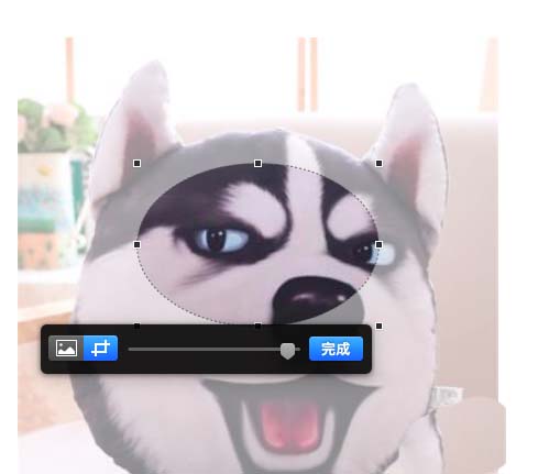 pages遮盖图片实现裁剪效果的操作步骤