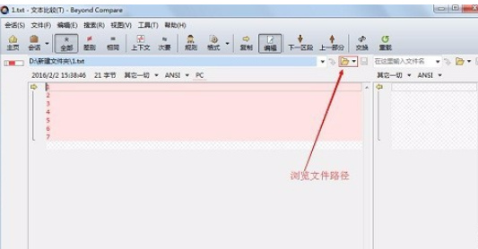 Beyond Compare进行文本比较的操作步骤