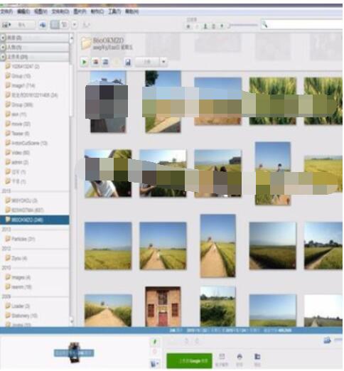 Google Picasa中打印图片的具体操作步骤