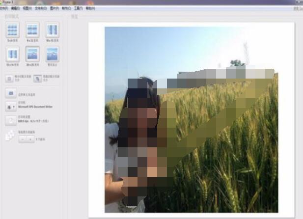Google Picasa中打印图片的具体操作步骤