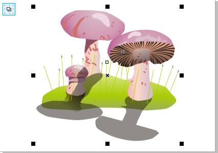 CorelDraw X4设置显示页面的具体操作步骤