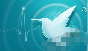 11.png 解决迅雷无法登陆的具体操作步骤