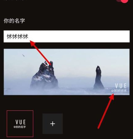 QQ截图20180509111018.png 关闭VUE视频水印的操作步骤