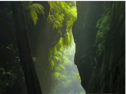 理理相册app中优化相册的步骤讲解