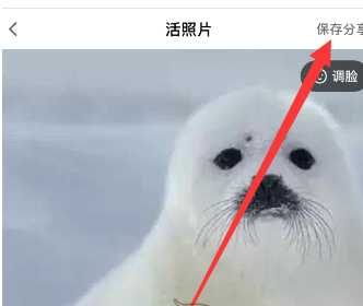 活照片制作会说话动态图的操作步骤