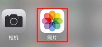 iPhone11pro max进行搜索照片的操作步骤