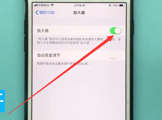 苹果手机中使用放大器的详细步骤