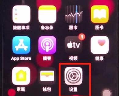 iphone11中设置siri性别的详细方法