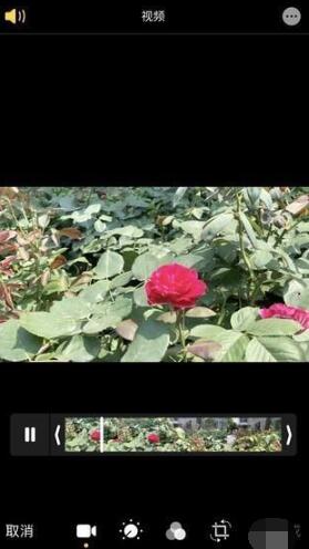 iOS13视频编辑的方法步骤