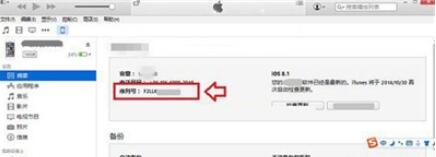 iphone11手机序列号的查看方法步骤