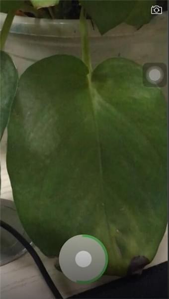 微信APP中放大小视频的详细操作流程