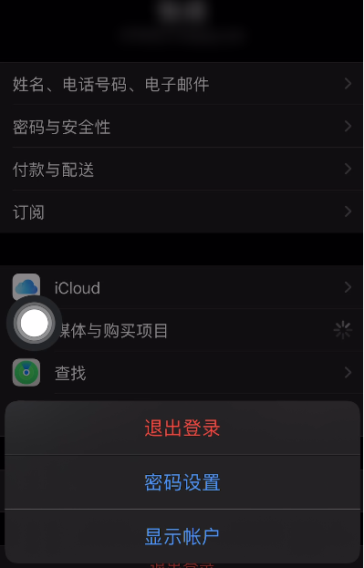 苹果手机如何使用人脸识别下载应用?苹果手机使用人脸识别下载应用教程分享