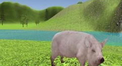 在抖音里模拟猪进不去的解决方法