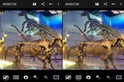 纯纯打码使用的方法介绍
