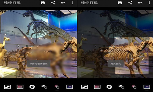 纯纯打码使用的方法介绍