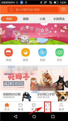 在波奇宠物APP中创建圈子的详细步骤
