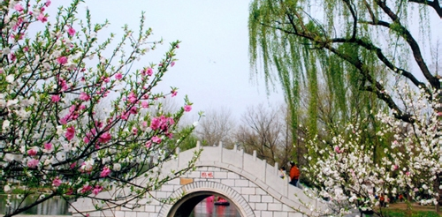 妙用PS将模糊图片变清晰的方法分享