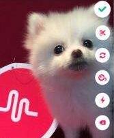 muse APP设置隐藏地理位置的操作流程