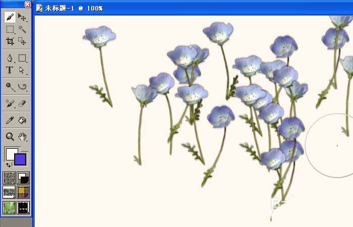 Painter制作花朵的图文操作