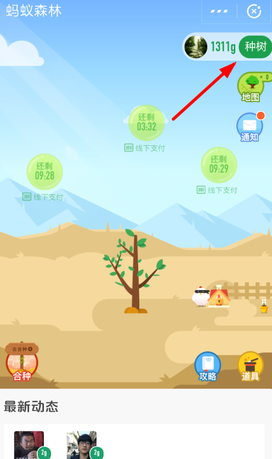 支付宝蚂蚁森林领取保护地的操作过程