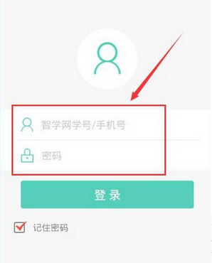 通过智学网查询小学成绩的操作过程