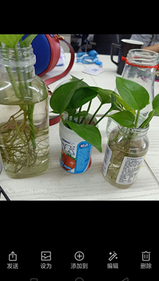 oppok1给照片添水印的操作过程