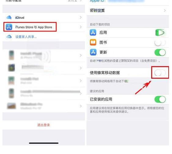 iPhone X设置禁止流量更新应用的操作过程