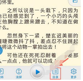 在畅读书城中返回目录的方法分享