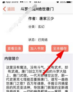在龙腾小说中下载小说的详细步骤