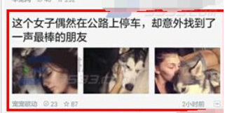 一点资讯中将图片保存的详细图文讲解