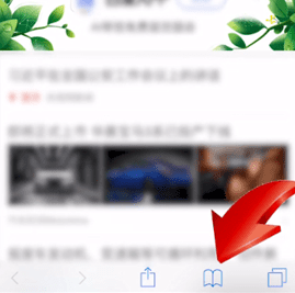 苹果手机中safari设置的具体操作步骤