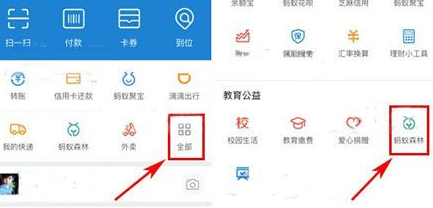 在支付宝里将行走捐打开的基础操作