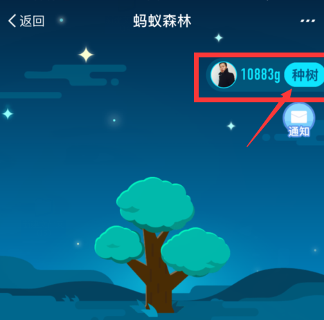 在支付宝里获得蚂蚁森林环保证书的操作流程
