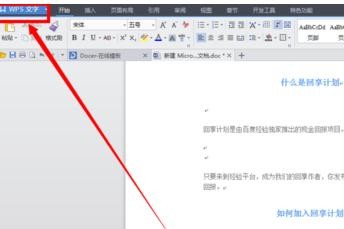 在WPS文字里去掉小点的图文操作