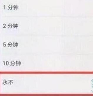 荣耀20pro设置屏幕常亮的具体操作