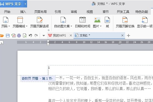 WPS设置起始页的操作流程