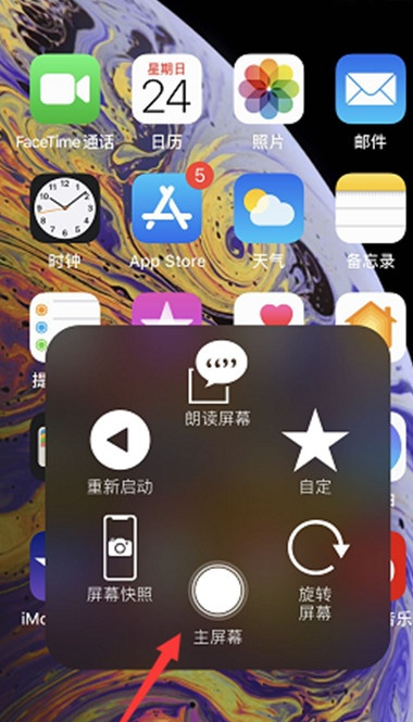 苹果xr设置控制球的详细操作流程