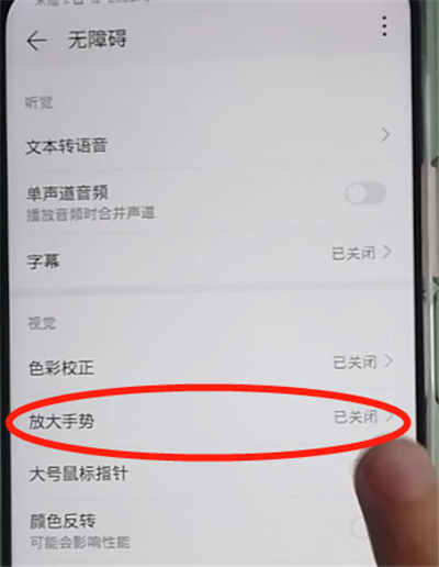 荣耀9x开启放大功能的操作教程