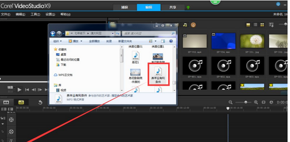 会声会影把女声变成男声的操作流程