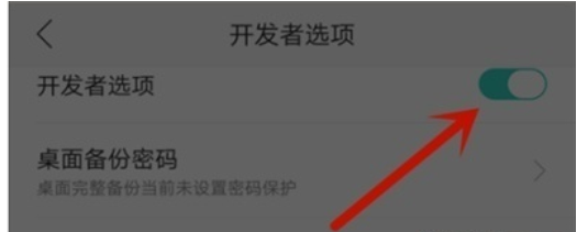 OPPO k5中关闭开发者选项的简单操作方法