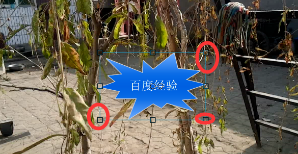 使用camtasia给视频添加注释的使用步骤