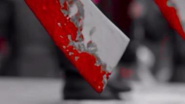 premiere为视频保留单色画面的操作步骤