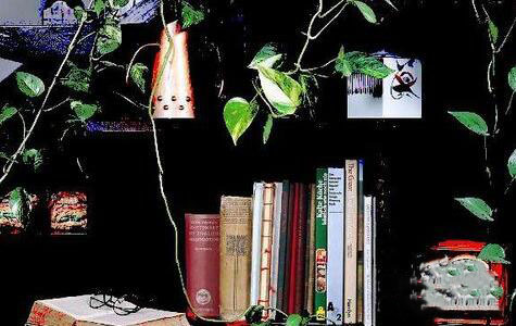 ps制作色调分离效果的具体操作