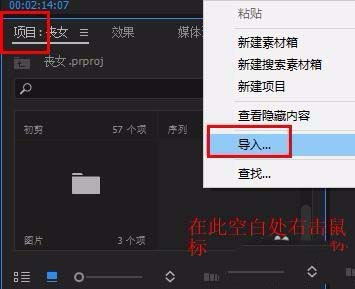 premiere给视频添加光源闪烁效果的具体步骤