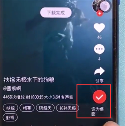 荣耀10中设置动态壁纸的简单方法