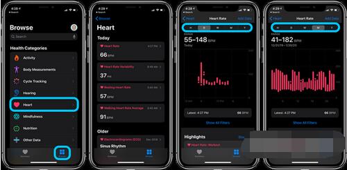 Applewatch6怎么查看心率数据?Applewatch6查看心率数据的方法