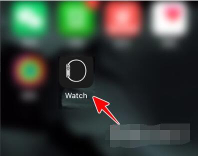 AppleWatch如何升级到watchOS8?AppleWatch升级到watchOS8教程