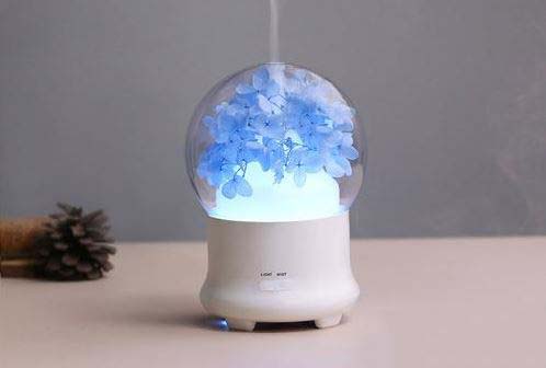 加湿器加了水还显示缺水怎么办?加湿器加了水还显示缺水解决办法