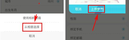 收留我APP上传照片的操作流程